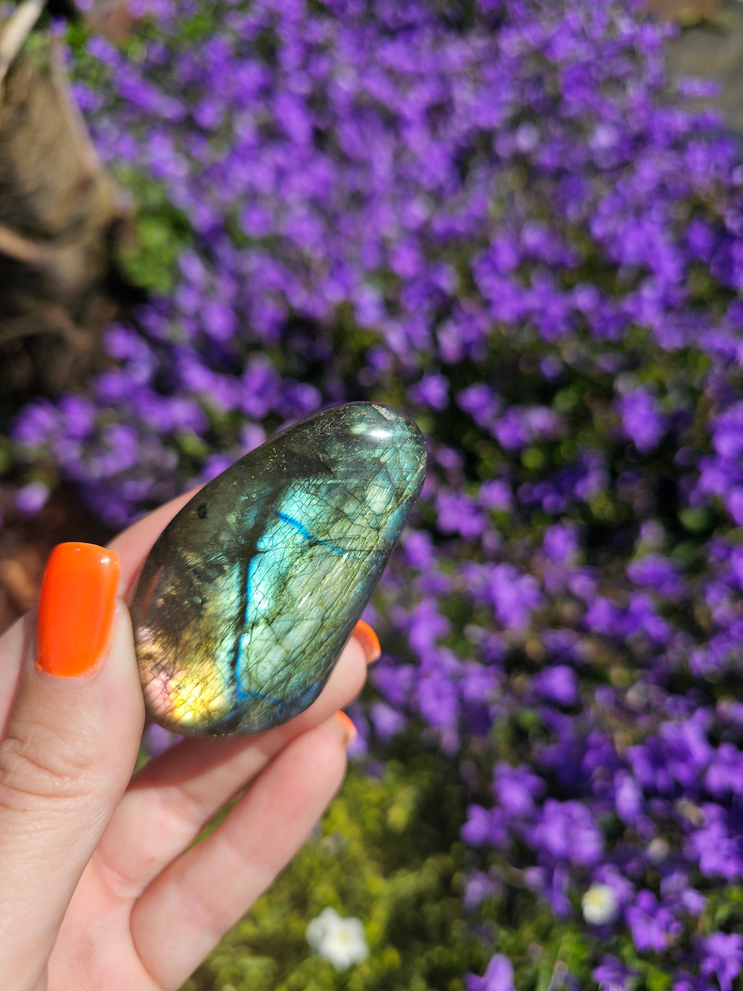 Labradoriet handsteen