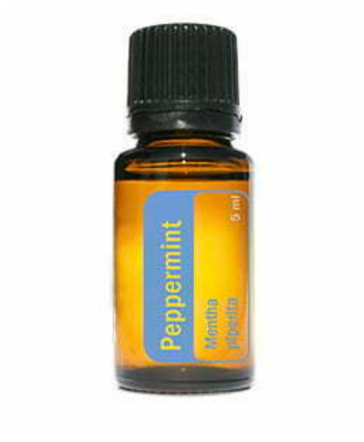Pepermunt olie 15ml